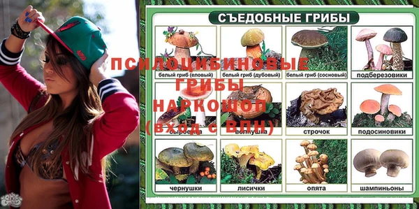 PSILOCYBIN Дмитриев