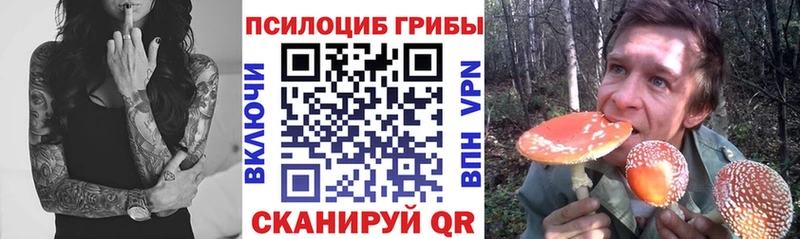 Галлюциногенные грибы ЛСД  omg как войти  Кувандык 