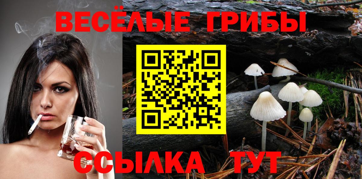 Галлюциногенные грибы Magic Shrooms  Вход с VPN  даркнет сайт  Кувандык  Псилоцибиновые грибы Cubensis 